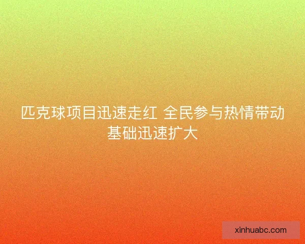 匹克球项目迅速走红 全民参与热情带动基础迅速扩大
