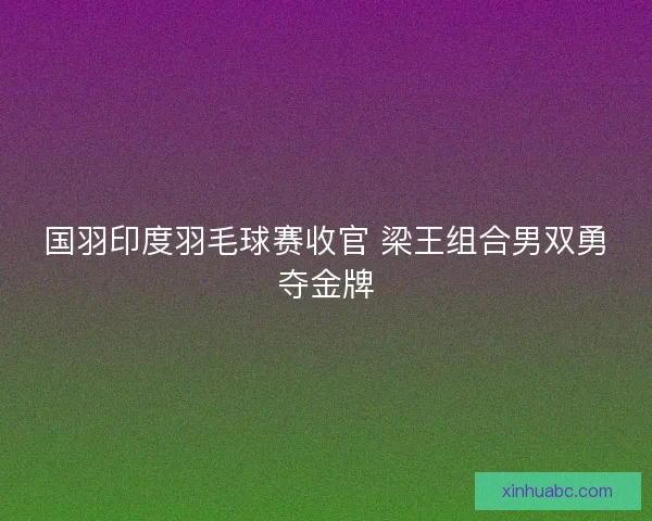 国羽印度羽毛球赛收官 梁王组合男双勇夺金牌